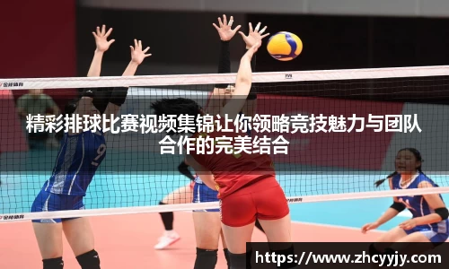 mk体育网址